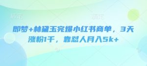 即梦+林黛玉完爆小红书商单，3天涨粉1千，靠怼人月入5k+-KJ分享