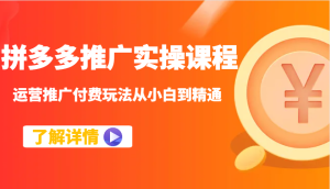 拼多多推广实操课程：运营推广付费玩法从小白到精通-KJ分享