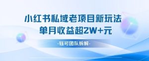 小红书私域项目新玩法，单月变现过W+-KJ分享