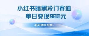 小红书冷门”暗黑”赛道,单日收益多张-KJ分享