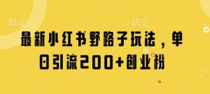 最新小红书野路子玩法,单日引流200+创业粉-KJ分享