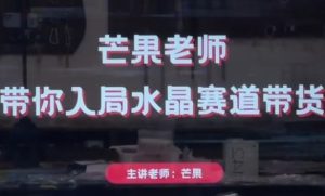 芒果老师·带你入局水晶赛道带货,助你开启水晶直播带货事业-KJ分享