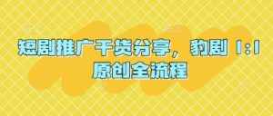 短剧推广干货分享,豹剧 1:1原创全流程-KJ分享
