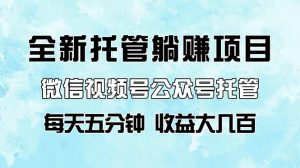 全新托管躺赚项目,微信视频号公众号托管代运营,每天五分钟,收益大几百-KJ分享