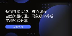 短视频操盘12月核心课程:自然流量打通,现象级IP养成,实战经验分享-KJ分享