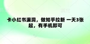 卡小红书漏洞,做知乎拉新 一天3张起,有手机即可-KJ分享
