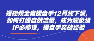 短视频全案操盘手12月线下课，如何打通自然流量，成为现象级IP必修课，操盘手实战经验-KJ分享