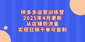 拼多多运营训练营2025年4月更新,从店铺到流量,实现日销千单可复制-KJ分享