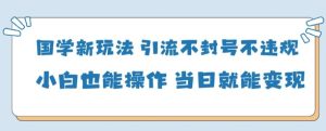 国学新玩法,引流不封号不违规小白也能操作,当日就能变现-KJ分享