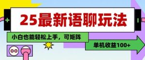 25年最新语聊玩法,纯手工,单机收益100+,小白也能轻松上手,可矩阵操作-KJ分享