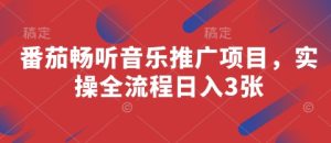 番茄畅听音乐推广项目,实操全流程日入3张-KJ分享