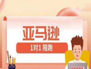 亚马逊1对1陪跑课(FBA/FBM精铺)跨境亚马逊教程-KJ分享