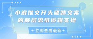 小说推文开头吸睛文案的底层思维逻辑实操-KJ分享