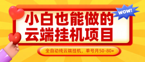 小白也能做的云端挂机项目无需操作，云端挂机，支持批量，单号月50-100，完全解放双手-KJ分享