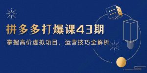 拼多多打爆课第 43 期，掌握高价虚拟项目，运营技巧全解析（15节）-KJ分享
