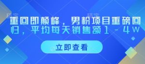 重回即颠峰，男粉项目重磅回归，平均每天销售额1-4W-KJ分享