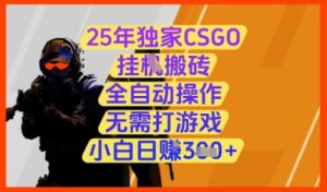 25年独家CSGO挂G搬砖,全自动操作,无需打游戏,小白日入3张+-KJ分享