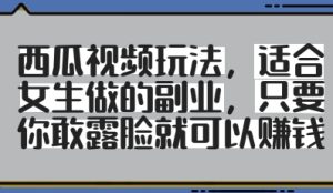 西瓜视频玩法,适合女生做的副业,只要你敢露脸就有收益-KJ分享