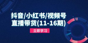 抖音/小红书/视频号/直播带货,快速掌握平台规则,打造爆款内容-KJ分享
