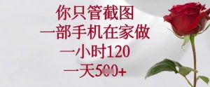 你只管截图，一部手机在家可以做，一小时120.一天5张+-KJ分享