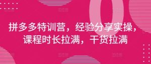 拼多多特训营,经验分享实操,课程时长拉满,干货拉满(更新25年4月)-KJ分享