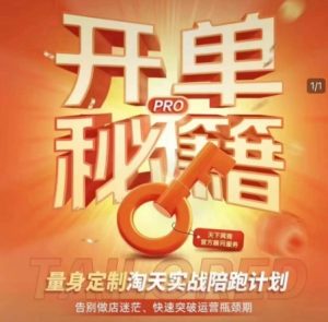 淘宝开单秘籍PRO,量身定制淘天实战陪跑计划,告别做店迷茫、快速突破运营瓶颈期(更新)-KJ分享