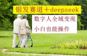银发赛道+deepseek数字人全域变现，小白也能操作-KJ分享