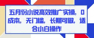 五月份小说高效推广实操,0成本,无门槛,长期可做,适合小白操作-KJ分享