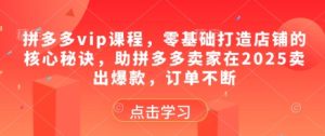 拼多多vip课程,零基础打造店铺的核心秘诀,助拼多多卖家在2025卖出爆款,订单不断-KJ分享