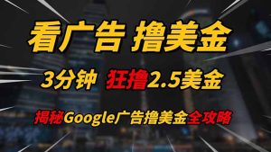 看广告,撸美金!!3分钟赚2.5美金!!日入200美金不是梦!揭秘Google…-KJ分享
