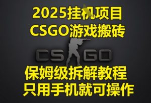 2025挂G项目,CSGO游戏搬砖,保姆级拆解教程,只用手机就可操作-KJ分享