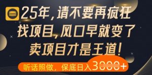 什么?25年你还在疯狂找项目做,醒醒吧,看完这些你全都懂了-KJ分享