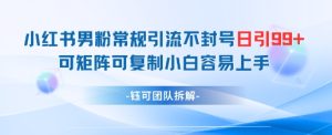 小红书男粉常规引流不封号日引99+变现简单 可矩阵可复制小白容易上手-KJ分享