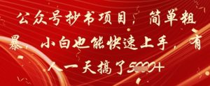 公众号抄书项目,简单粗暴,小白也能快速上手,有人一天搞了1k+-KJ分享