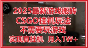 2025最新游戏搬砖,CSGO挂G,不需要玩游戏,实现真挂G,月入1W+-KJ分享