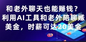 和老外聊天也能挣钱?利用AI工具和老外陪聊挣美金,时薪可达20刀-KJ分享