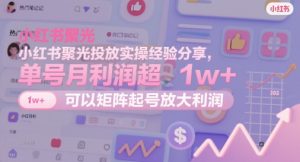 小红书聚光投放实操经验分享,单号月利润超1w+,可以矩阵起号放大利润-KJ分享