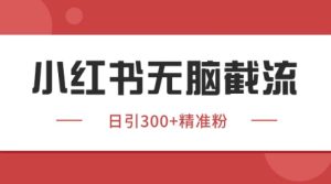 小红书只要你有同行就能获客，独家野路子获客玩法，暴力截流-KJ分享