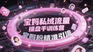 宝妈私域流量操盘手训练营,宝妈粉精准引流-KJ分享