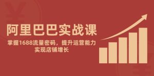 阿里巴巴实战课:掌握1688流量密码,提升运营能力,实现店铺增长-KJ分享