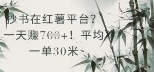 抄书在小红薯平台?平均一单30米,一天收益几张!-KJ分享