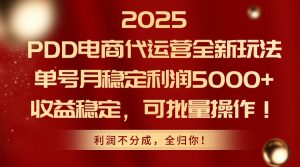 2025PDD电商代运营全新玩法，单号月稳定利润5000+，收益稳定，可批量操作-KJ分享