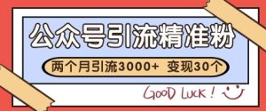 公众号精准粉引流玩法，2个月3000+精准粉，变现30个W-KJ分享
