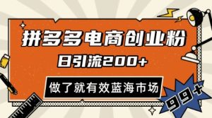 拼多多引流电商创业粉，日引200+，可矩阵放大，做了就有效-KJ分享