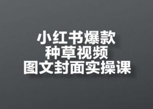 小红书爆款种草视频图文封面实操课,开店、选品、引流、变现全流程-KJ分享