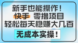新手也能操作,快手零撸挣米,轻松每天挣2-5张,完全无成本-KJ分享