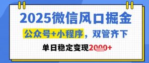 2025微信风口掘金,公众号+小程序双管齐下,单日稳定变现1k+-KJ分享