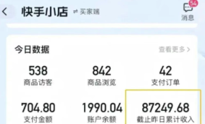 快手图文带货新玩法,用这个方法零门槛,6个月收入87249(保姆级详细教程)-KJ分享
