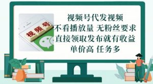 视频号代发视频，无需做视频，无需写文案，不看播放量，无粉丝要求，直接领取发布就有收益-KJ分享