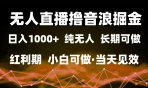 无人直播撸音浪掘金，日入1k+，纯无人红利期，小白可做，当天见效-KJ分享